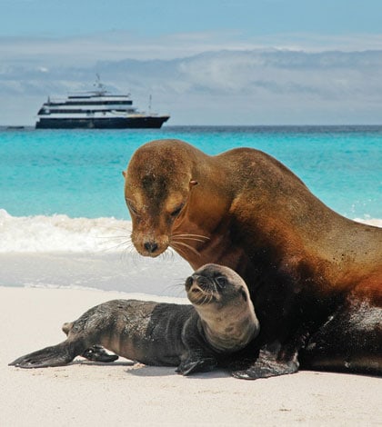 Galápagos Islands wildlife photography expedition - KarryOn