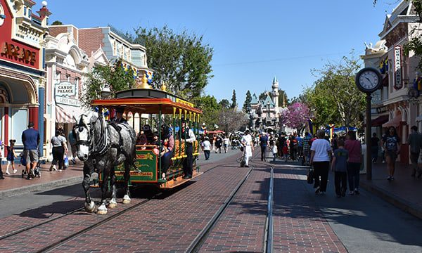 Disneyland horses