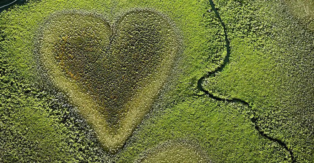 BONJOUR, FLY TO NEW CALEDONIA FROM $298 8 New caledonia Heart