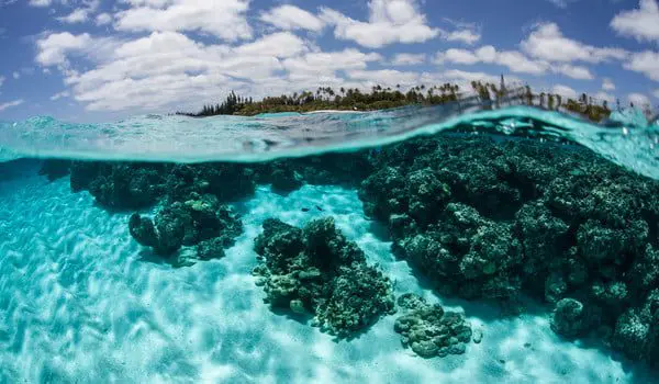 shutterstock_273041246