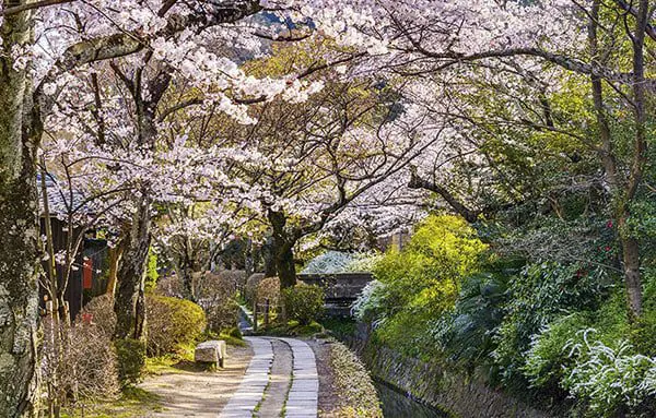 JAPAN HAS A COLOUR FOR EVERY SEASON OF THE YEAR, AND THEY'RE ALL RADIANT! 26 japn5