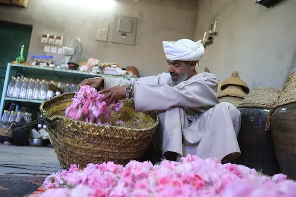 GET A LITTLE WILD AT HEART IN OMAN 24 AE9Q2556