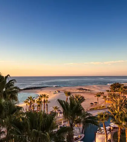 99 problems, but this beach ain't one