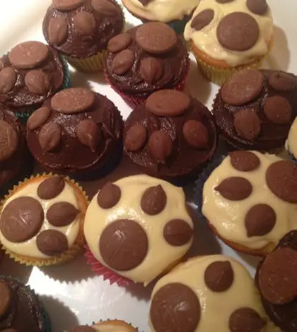 Hoot if you love Pets!