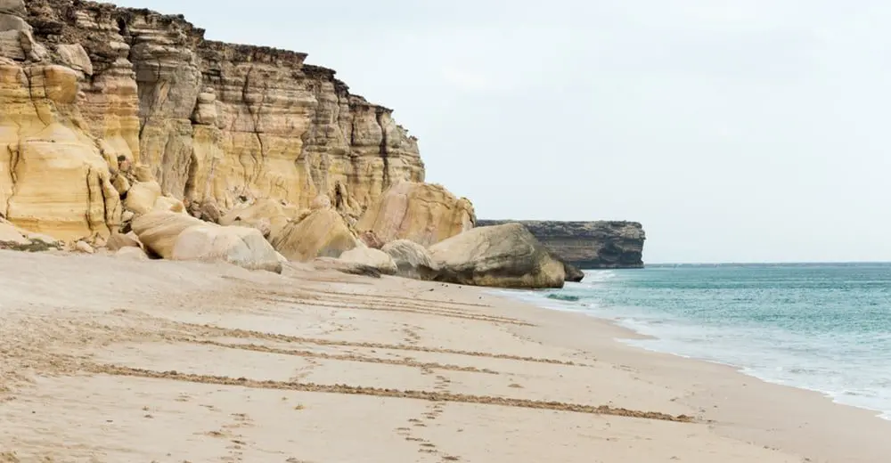 Turtle Watching in Oman - discover the cute sea creatures first hand