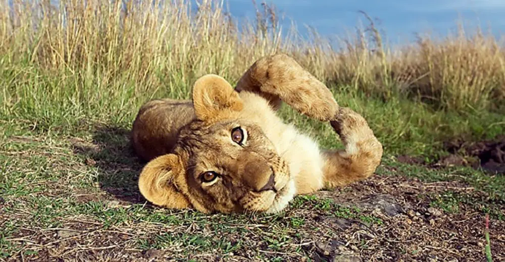 Mon 18 Jan: 10 travel news stories you need to know today 36 travel news kenyaheader