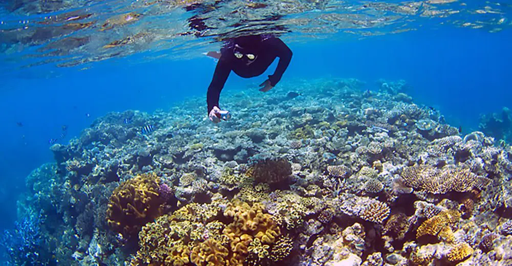 Wed 20 Aug: 10 Things you Need to Know today