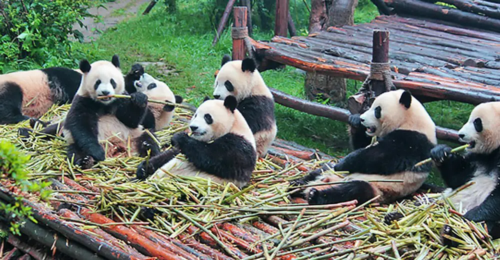 Mon 18 Aug: 10 Things you need to know today