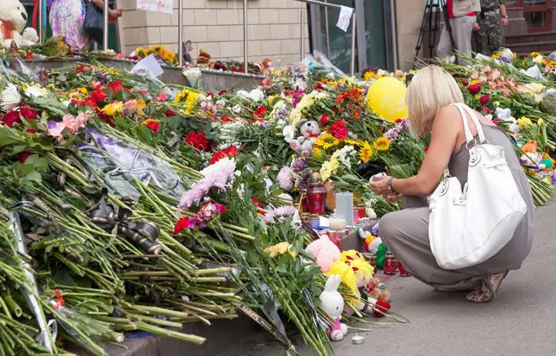 MH17 downing: Australia and the Netherlands take legal action against Russia 1 mh17-karry-on