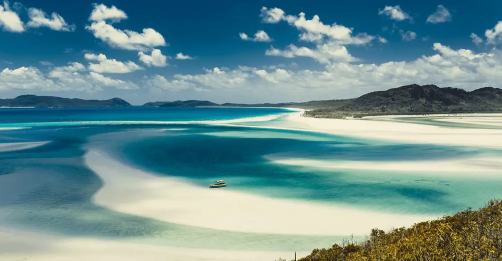 Australia's treasured island welcomes back the flying kangaroo