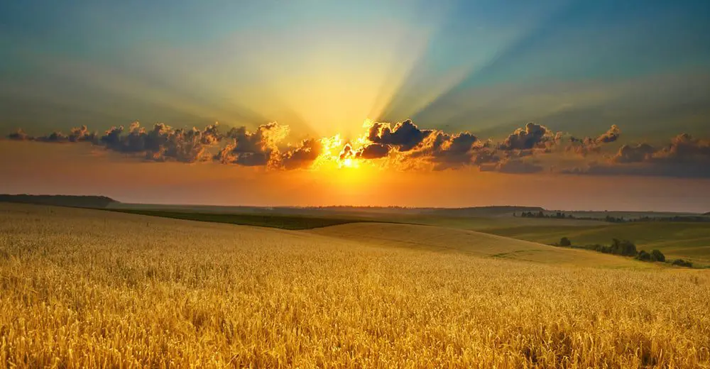 Mastering the law of attraction