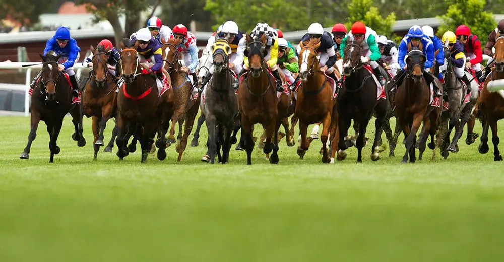 Top 8 Venues to Celebrate Melbourne Cup