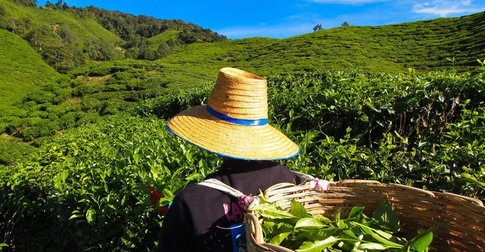 Malaysian tourism industry unite to further push inclining visitor stats