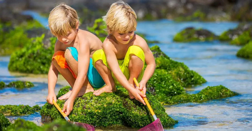 Top family-friendly activities on the Hawaiian Islands
