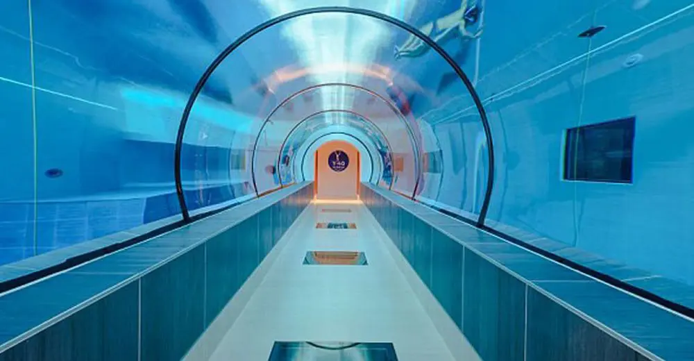 Do you dare dive into The Deep Joy?