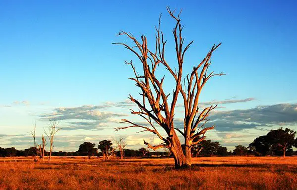 Scenic's 30 wonders of the world & 30th birthday sale 119 o2