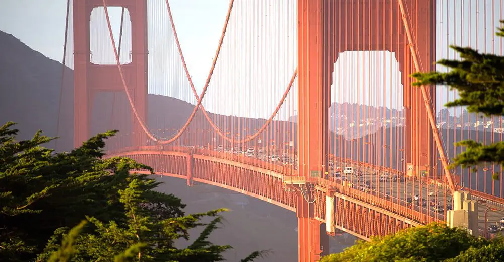 NSW Flight Centre agents head to Northern Cali Triangle