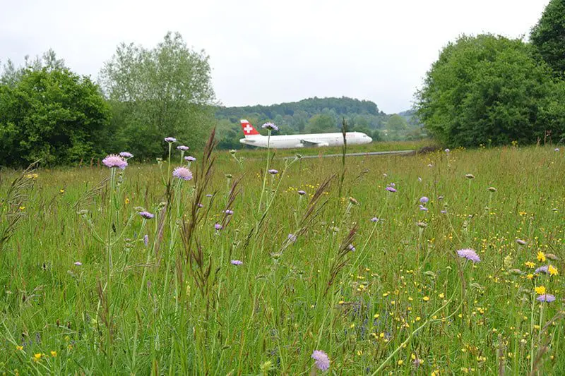 8 airports that won't bore you 34 N437_NaturLandschaft_2