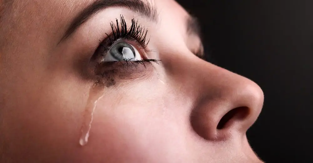 Airlines play out the battle of the tissue box