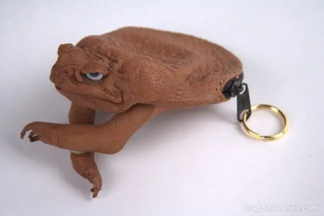 The worst souvenirs from around the world 27 cane toad