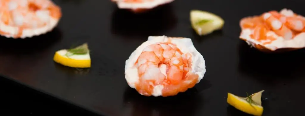 finest-cat-cuisine-cat-hotel-home