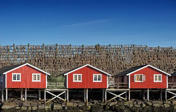 Put on your explorer hat & discover your own slice of Scandinavia 6 frrfrrf