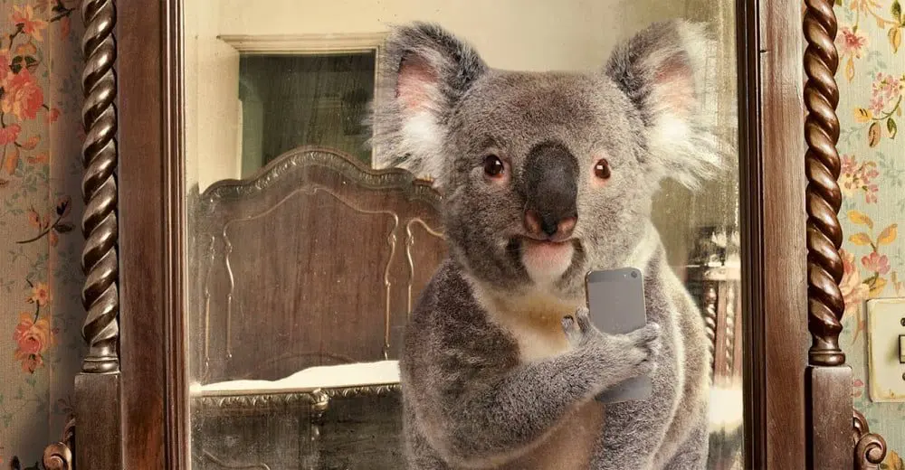 @Australia now officially Instagram famous