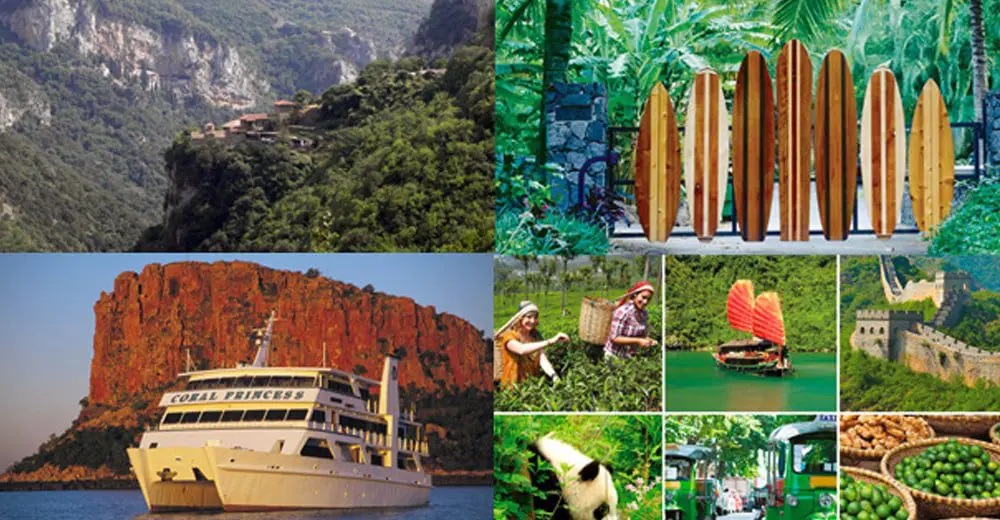 Brochures of the week