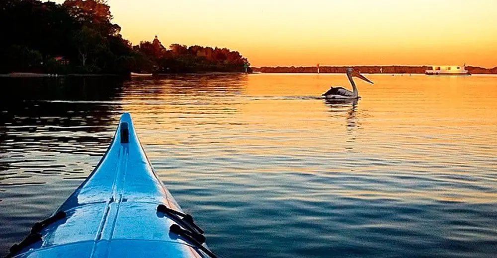 What's new Sunshine Coast?