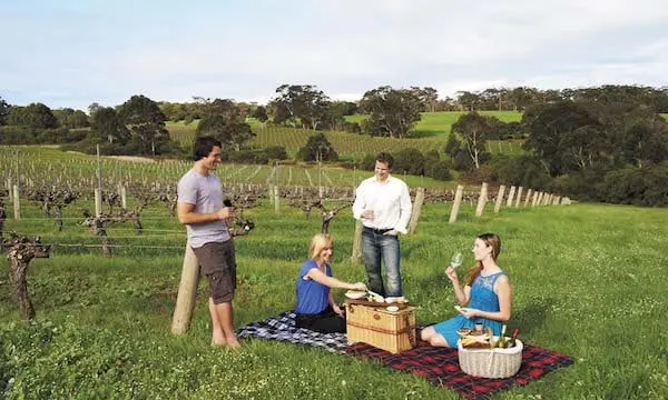 Top 10 ideas for a memorable holiday at home in Australia 32 Taste Margaret River option 2 - MargaretRiver_VasseFelix_Picnic_109886_TWA