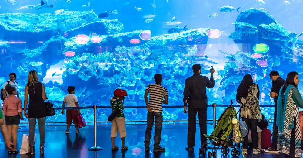 Family holiday in Dubai