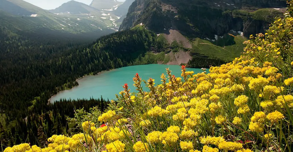 2015 Visit USA Marketplace heads to Sydney  