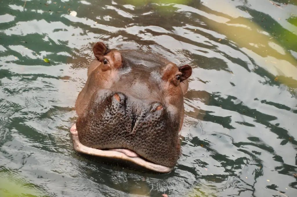 Fun travel news Friday