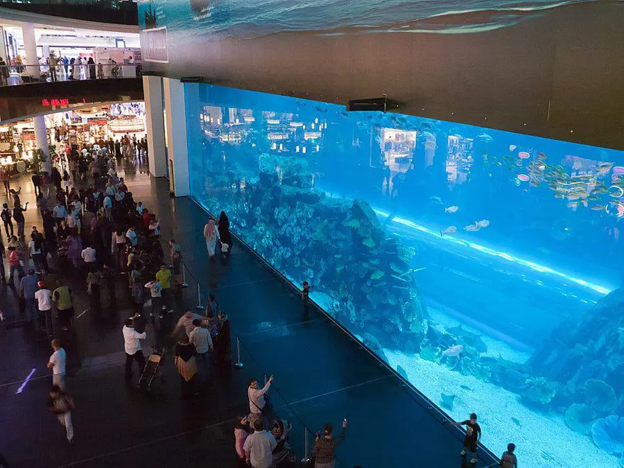 11 astonishing facts about The Dubai Mall 38 panel