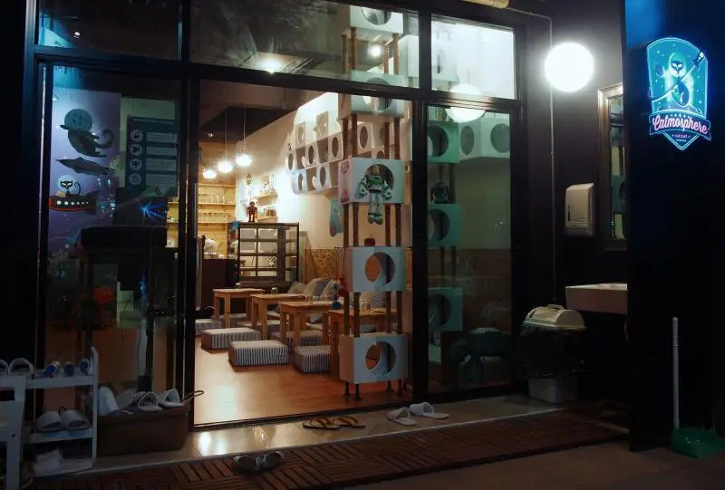 Up coming pop-ups that reminds us to 'party on'! 13 3904b-catmosphere-cafe-chiang-mai