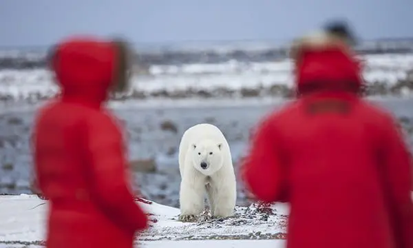 Ready to kick start your travel career? Where could our industry take you? 7 Why not become a guide in the Antarctic?