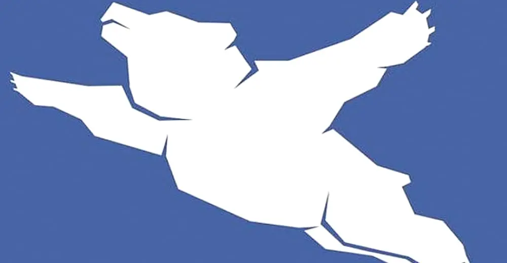 Hilarious! Check out this airport's un-bear-able logo