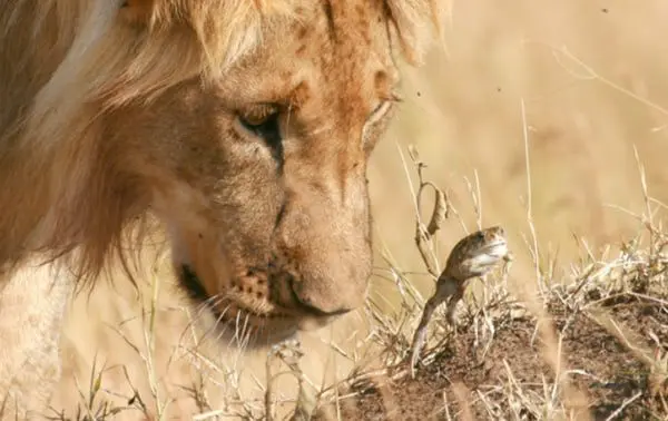 4 brilliant ideas for a Kenyan Easter 2 Kenya
