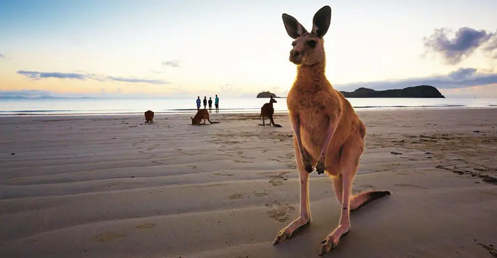 101 things to do in Mackay