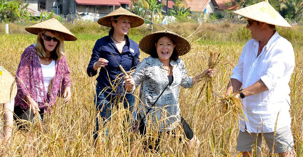 Introducing Insider Journeys