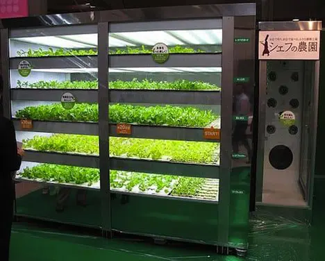 lettuce-vending-machine