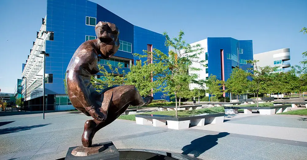 Air NZ rejects Canberra: we're not going there