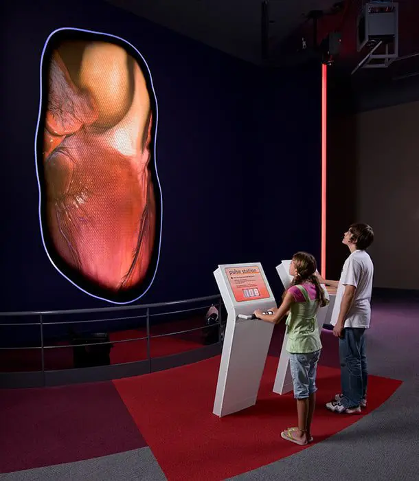 Chicago City Guide 17 Chicago Geek