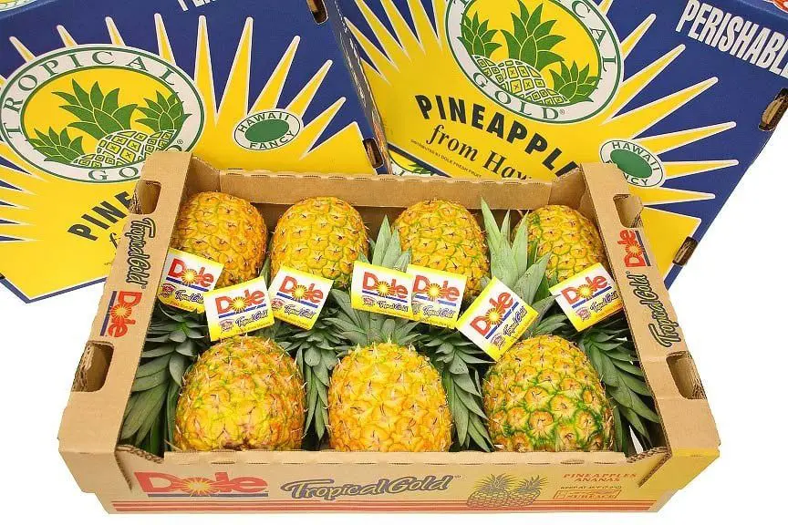 ALOHA FRIDAY! Half Price Hawaii, HA Dreamliners + Free Upgrades 26 Hawaii-Pineapples-karryon