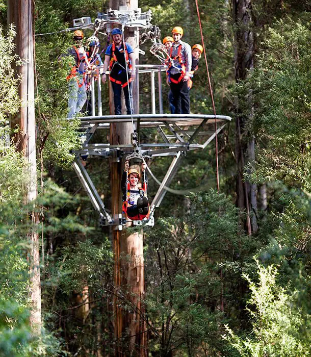 Illawarra Fly Treetop Adventure