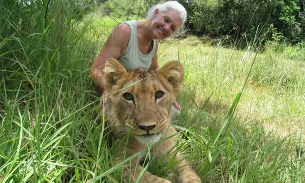 Sell more, earn more with this week's travel brochures 20 Interlude Tours travel brochure