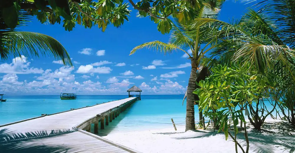 New Caledonia Header