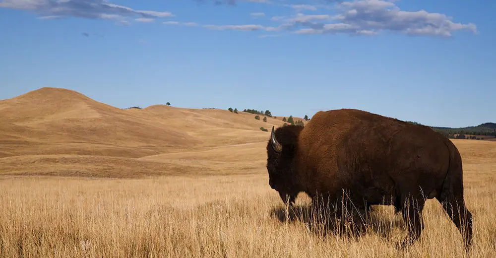 Top 5 hidden gems in North Dakota