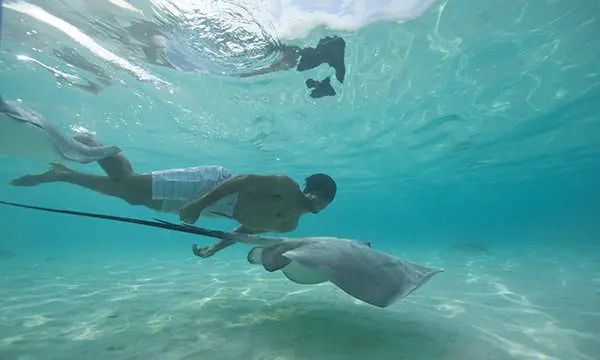 P2_02_MOOREA_MG_0105