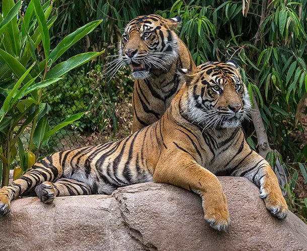 6 reasons to visit San Diego 20 San Diego 2